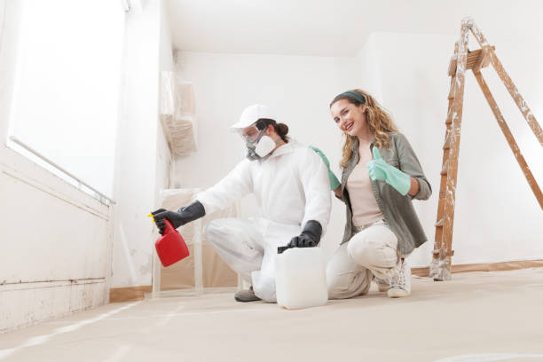 Mold Remediation for Rental Properties in Lovettsville, VA